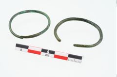 Foto von Bronzering (NHMW-PRAE-026284)
